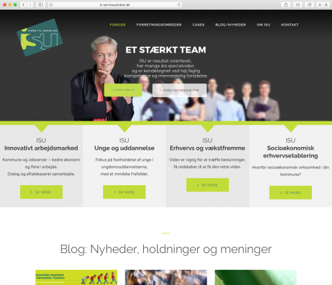 ISU – serviceudvikler